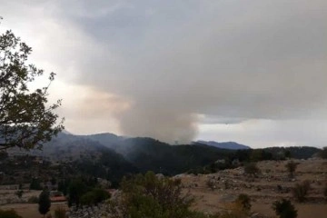 Manavgat'taki orman yangını kontrol altında