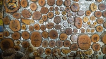 Marangoz zarfında ayrımlı şekiller mevcut ağaçlardan derlem oluşturdu