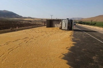 Mardin'de kamyon devrildi, tonlarca buğday yola döküldü