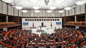 Meclis'ten Kazakistan'a dayanaklık etmek açıklaması