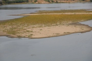 Meriç Nehri'nde kuraklık alarmı