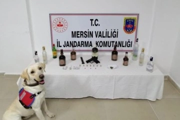Mersin'de sahte alkol uygulaması