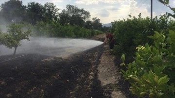 Muğla'da tarım arazisi ve otluk bölgede çıkan yangınlar söndürüldü