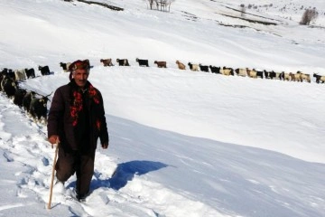 Muş'ta besicilerin hayvanlarıyla kar üzerindeki 6 kilometrelik zorlu yolculuğu