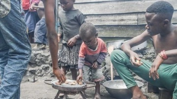 Nijerya'da 10 milyondan çok yerinden edilmiş ad gıda güvensizliğiyle hakkında karşıya