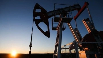 OPEC'in yer yağı üretimi güzeşte ay arttı
