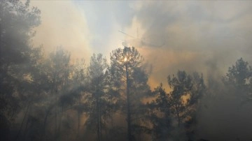 Orman yangınlarına 'yapay zeka' ile alelacele tespit