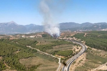 Osmaniye’de çıkan orman yangını kontrol altına alındı