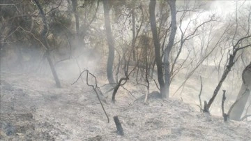 Osmaniye'de çıkan orman yangınına karışma ediliyor