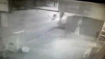Osmaniye’de köpeğin çocuğa saldırması asayiş kamerasında