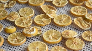 Portakal, muz ve limonu kurutup eklenmiş kıymetini artırdılar