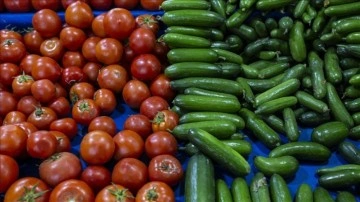Rusya ve Ukrayna mücadelesi domates, biber ve hıyar fiyatını yüzdelik 30 düşürdü
