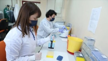 Sağlık Bakanlığı başvuru laboratuvarlarında Kovid-19 varyant taramaları sürüyor