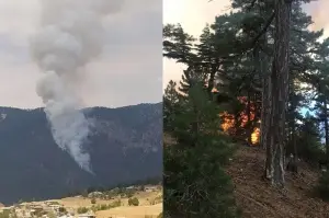 Saimbeyli'de orman yangını