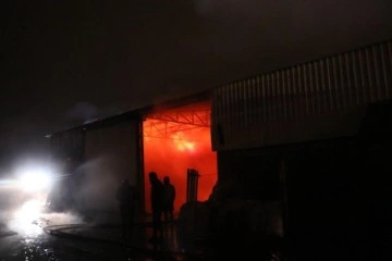 Sakarya’da kereste fabrikası alev alev yandı