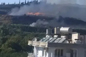 Samandağ'da bahçe yangını