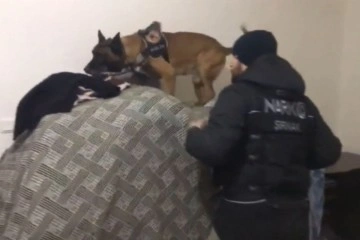 Şırnak’ta hassas burunlu köpeklerle narkotik operasyonu: 9 gözaltı
