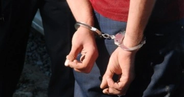 Şırnak’ta kaçakçılık operasyonu: 49 gözaltı