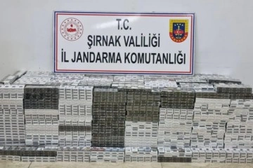 Şırnak’ta Kaçakçılık ve Asayiş Operasyonu: 99 gözaltı