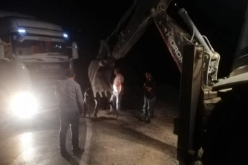 Şırnak'ta kömür yüklü kamyon yoldan çıktı