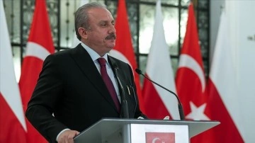 TBMM Başkanı Şentop: AB üyeliği Türkiye düşüncesince halen ciddi birlikte hedef