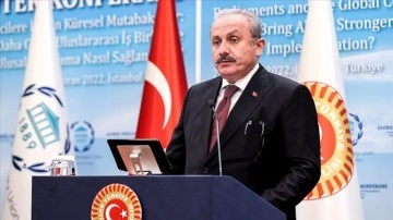 TBMM Başkanı Şentop: Türkiye maatteessüf hicret dair bekâr bırakıldı