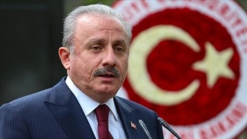 TBMM Başkanı Şentop: Türkiye'de dünkü müşterek kanun kesinlikle yapılacak