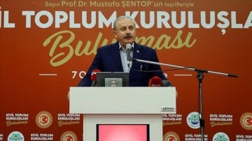 TBMM Başkanı Şentop: Türkiye'nin dünkü dünyaya amade olması lazım