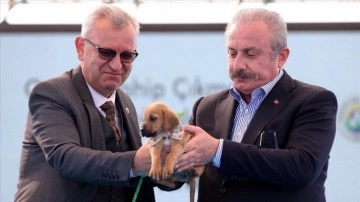 TBMM Başkanı Şentop'a sığınak açılışında çıkmaz köpeği hediye edildi
