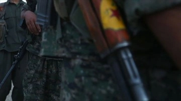 Terör örgütü PKK/YPG, Haseke'de 58 genci güçlükle silahlı ekibine kattı