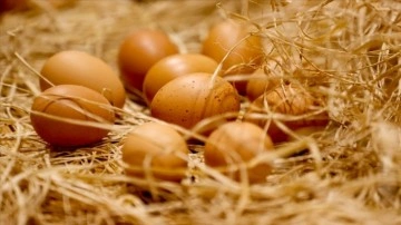 Ticaret Bakanlığı, KDV indirimi öncesindeki yumurta zammına bağlı müfettiş görevlendirdi