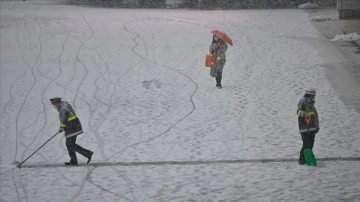 Tokyo'da dip kar yağışı hayatı menfi etkiledi