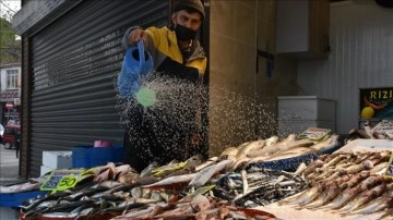 Trabzonlu balıkçıların tezgahlarını tavuk balığı ve istavrit süslüyor