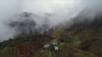 Trabzon'un 'Hıdırnebi Yaylası' sis altındaki güzelliğiyle ziyaretçilerini karşılıyor