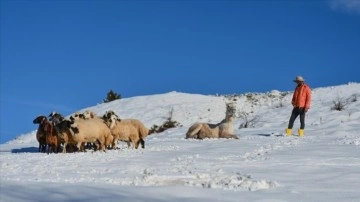 Tunceli'nin köylerinde kavi kış koşulları yaşamı menfi etkiliyor