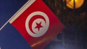Tunus'taki Nahda Hareketi: Halkın darbeyi desteklediği efsanesini yıktık