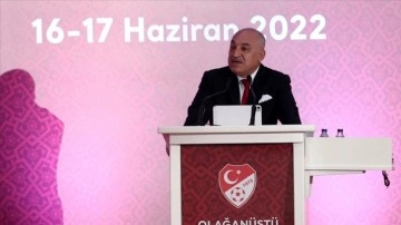 Türkiye Futbol Federasyonunun toy başkanı Mehmet Büyükekşi oldu