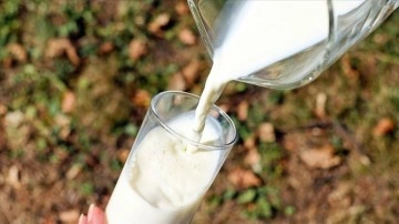 Türkiye'de 2021'de 23,2 milyon titrem çiğ süt üretildi