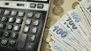 Türkiye'de vergi yükümlüsü sayısı 12 milyon 700 bini aştı