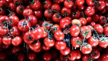 Türkiye'nin 11 maaş yaş meyve sebze ihracatının kısaca 5'te 1'ini üzüm ve domates