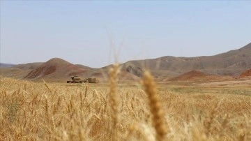 Türkiye'nin hasat sezonuna derece tam buğdayı bulunuyor