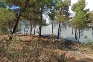 Uşak’taki orman yangınında 2 buçuk hektar alan kül oldu