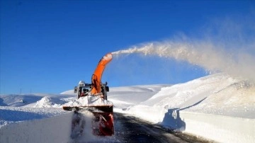 Van, Bitlis ve Muş'ta 190 yerleşimin yolu kardan kapandı