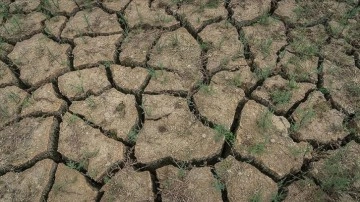 Yağışlar yüzdelik 40,6 azaldı, Marmara ve İç Ege'de kuraklık nazik seviyelere geldi