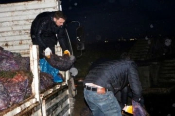 Yalova'da 8 ton kaçak avlanan midye denize bırakıldı