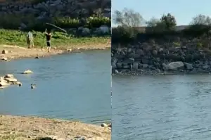 Yasağı dinlemediler, Sazlıbosna Barajı’nda ağ ile balık tuttular