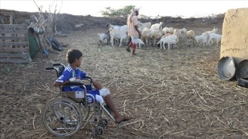 Yemen'de çobanlık eden evlatların vahim rüyası: Mayınlar