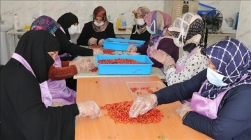 Yozgatlı kadınlar, kurmuş oldukları kooperatifle dernekevi ürünlere bedel katıyor