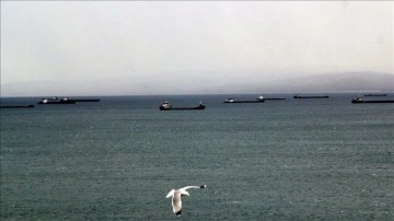 Yük gemileri demir yel dolayısıyla Sinop saf limanına demirledi