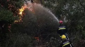 Yunanistan'da devam eden orman yangınları hükümete karşı sert eleştirilere neden oldu